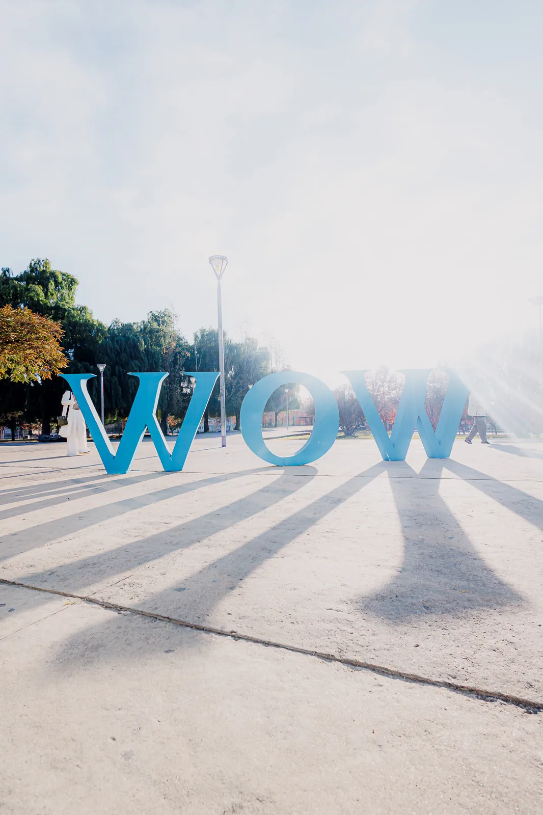 WOW Mujeres Activas — foto del evento